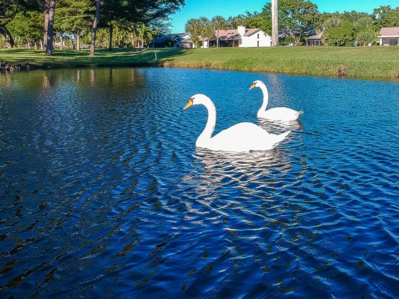 Photo of 16605 Boca Delray Drive