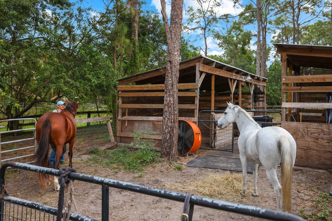 Photo of 5446 Duckweed Road