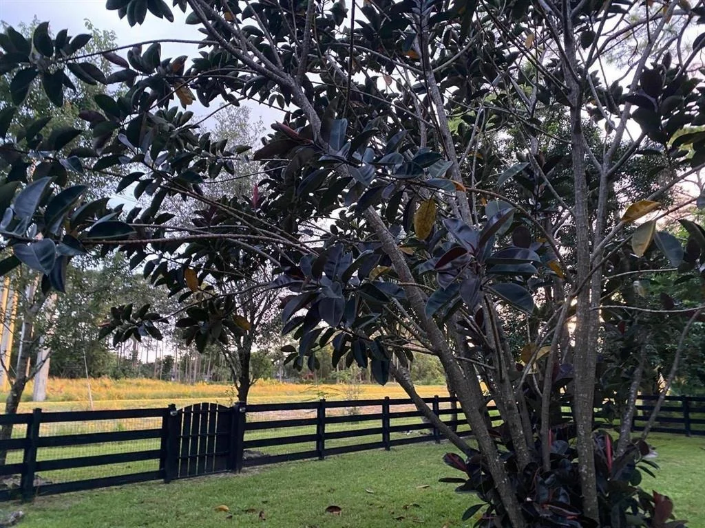 Photo of 13840 Greentree Trail