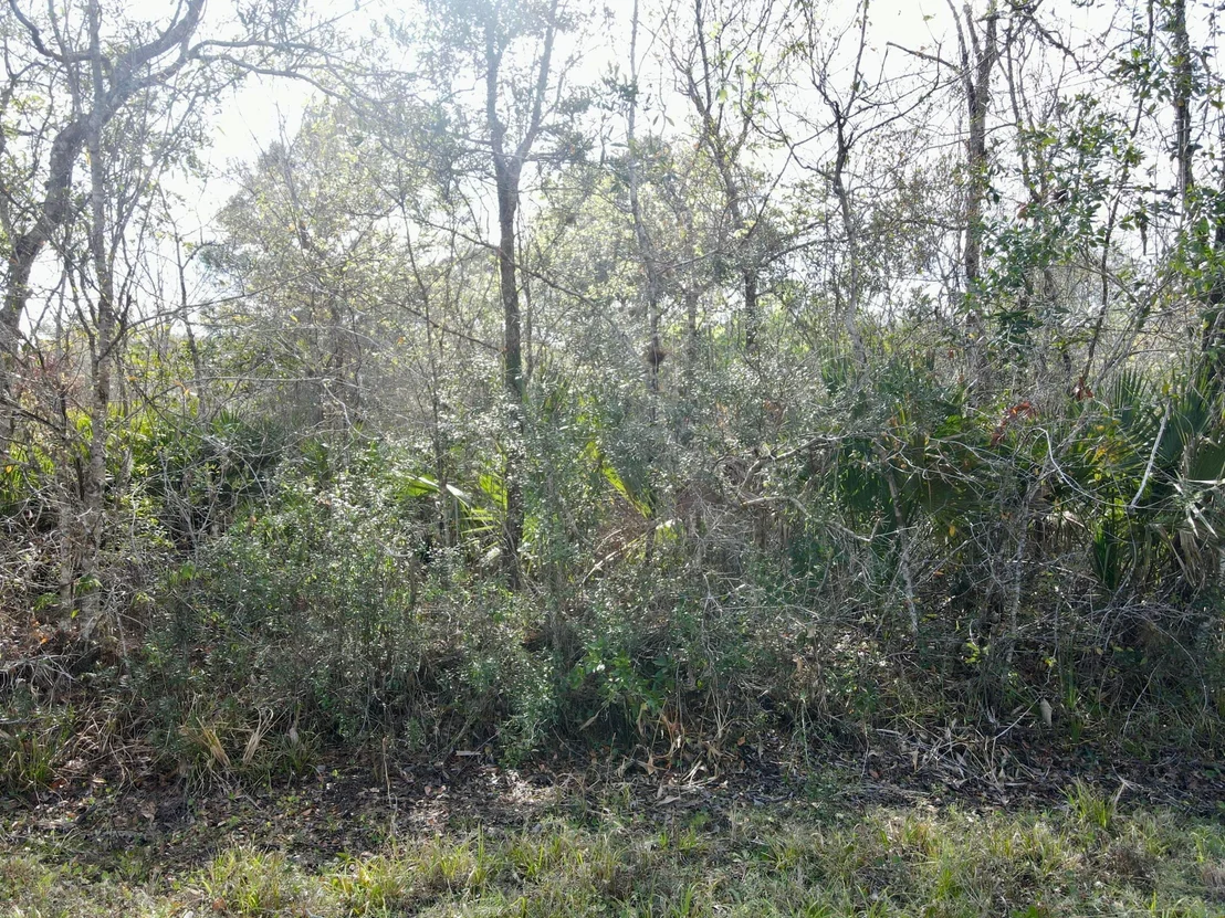 Photo of 1465 NE 342nd Trail
