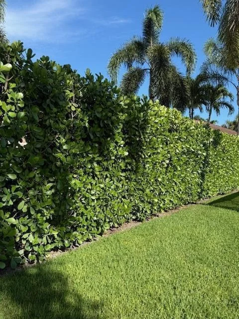 Photo of 1133 Egret Circle S