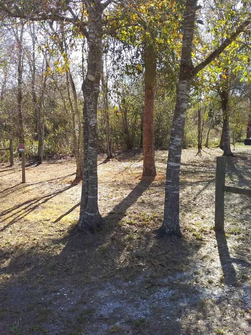 Photo of 16486 NW 254th Street