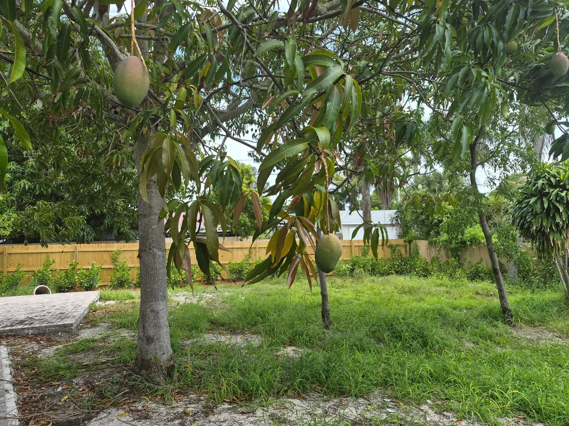 Photo of 707 Hampton Road
