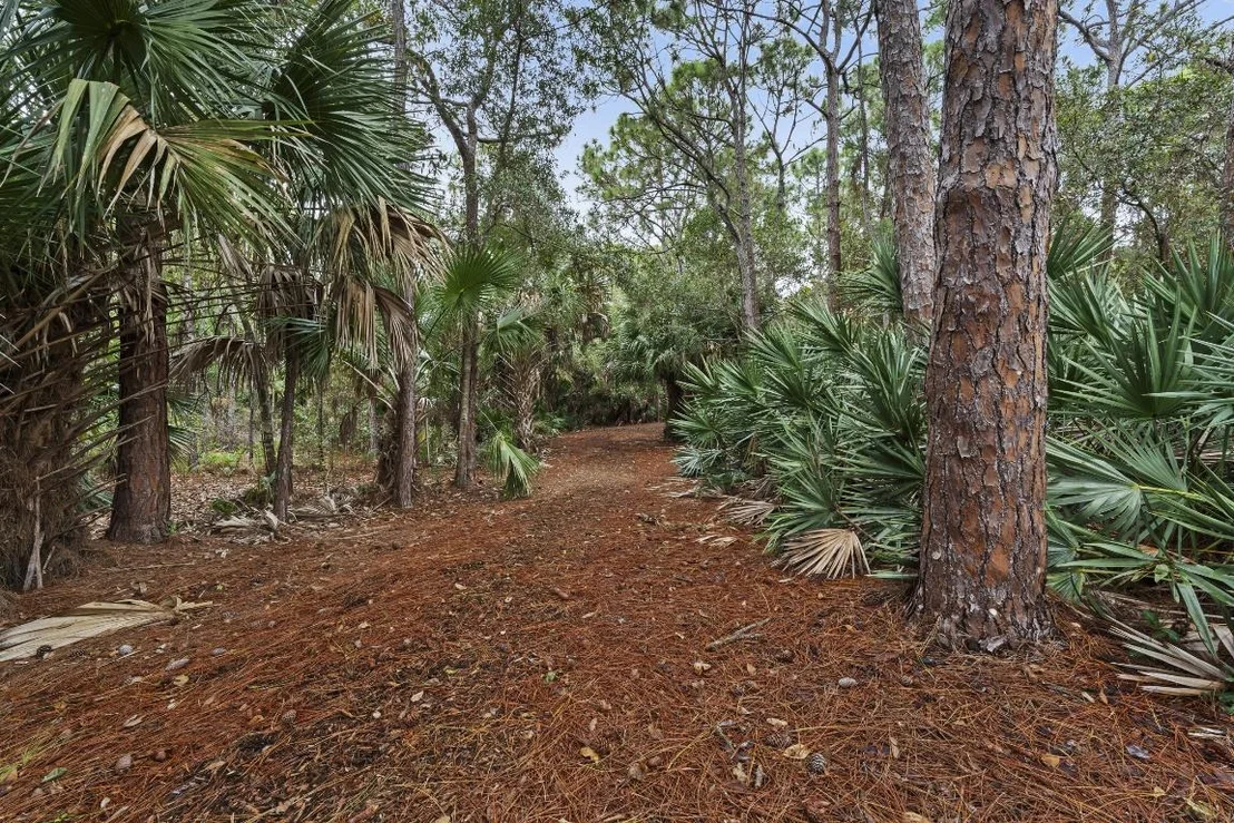 Photo of 18861 Misty Lake Drive