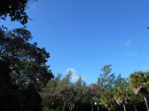 Photo of Unit D310 at 2871 N Ocean Boulevard