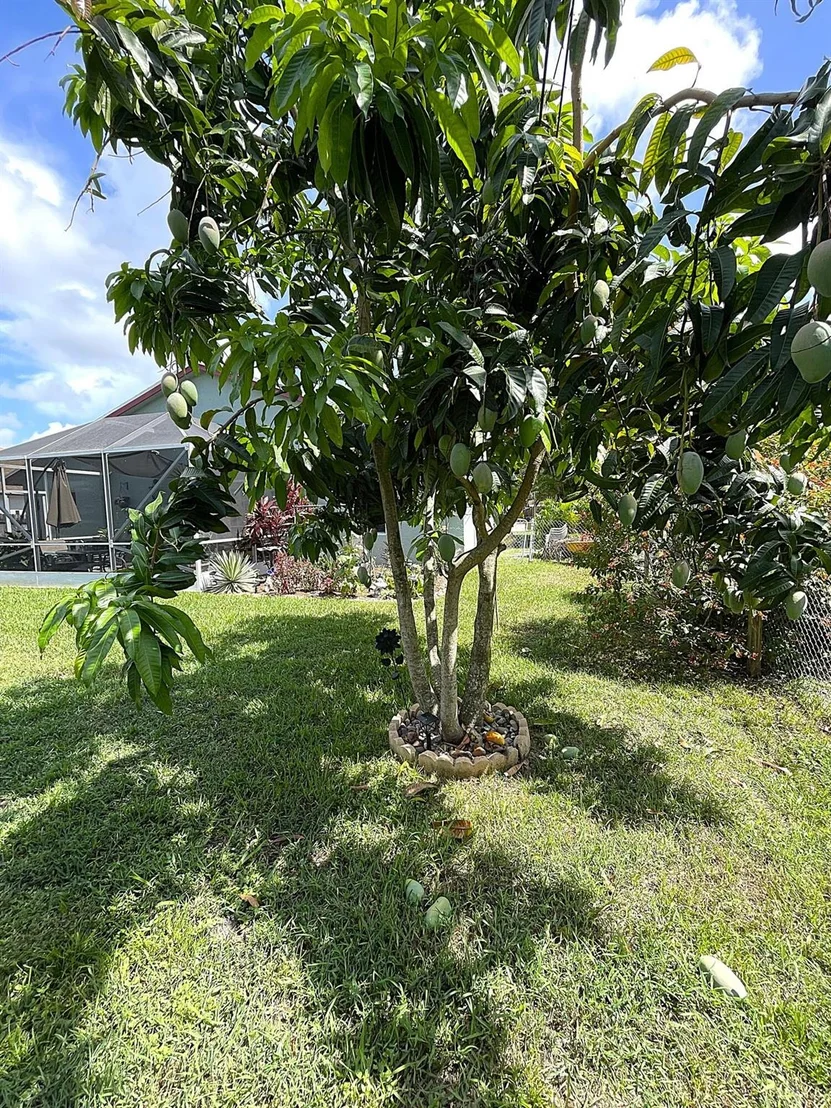 Photo of 5386 Van Buren Road