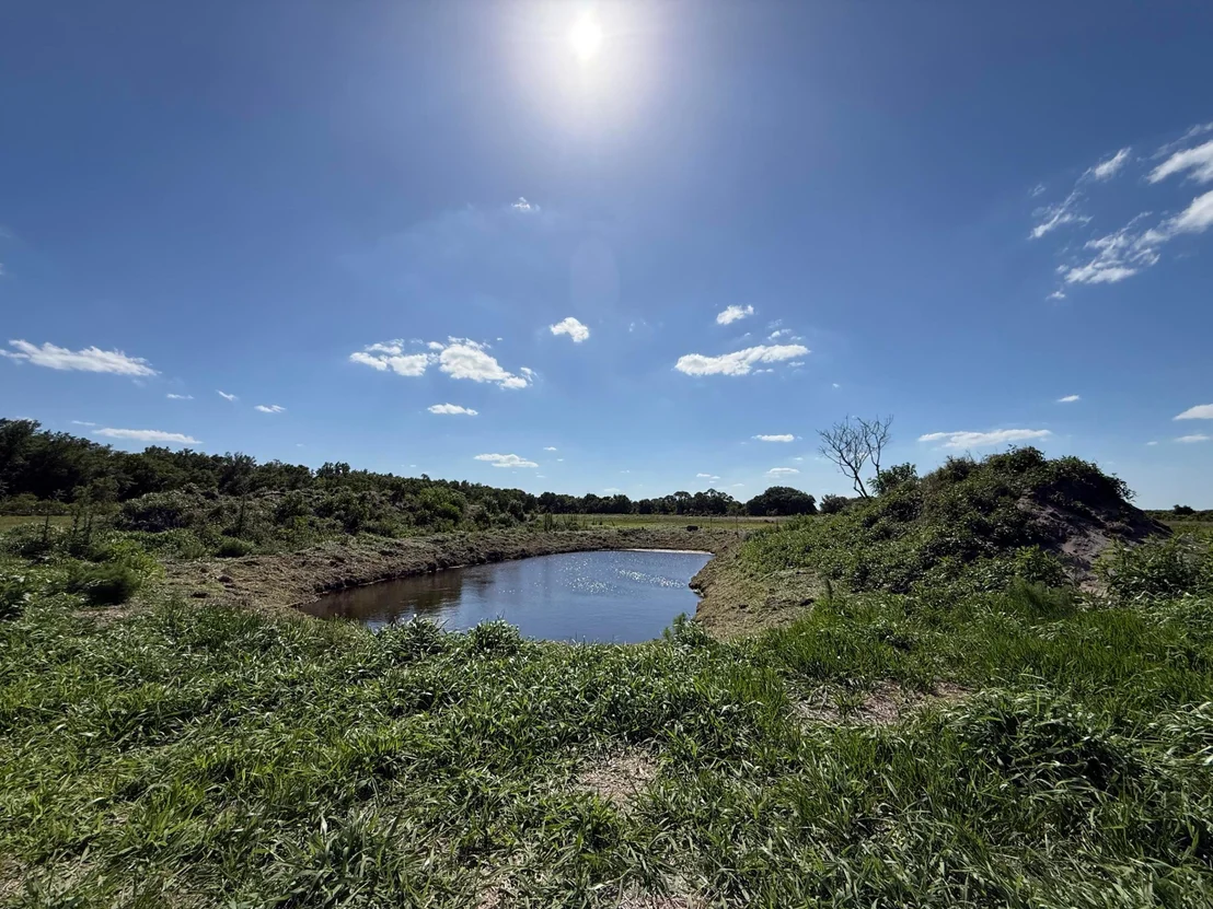 Photo of 2615 Bluff Hammock Road