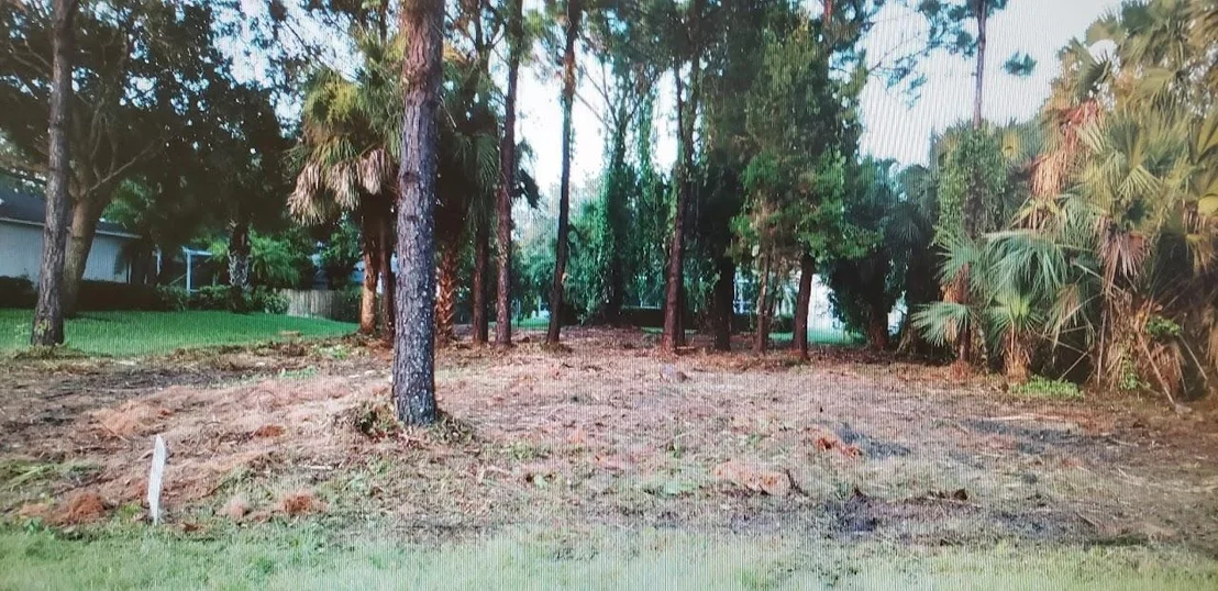 Photo of 561 Perch Lane