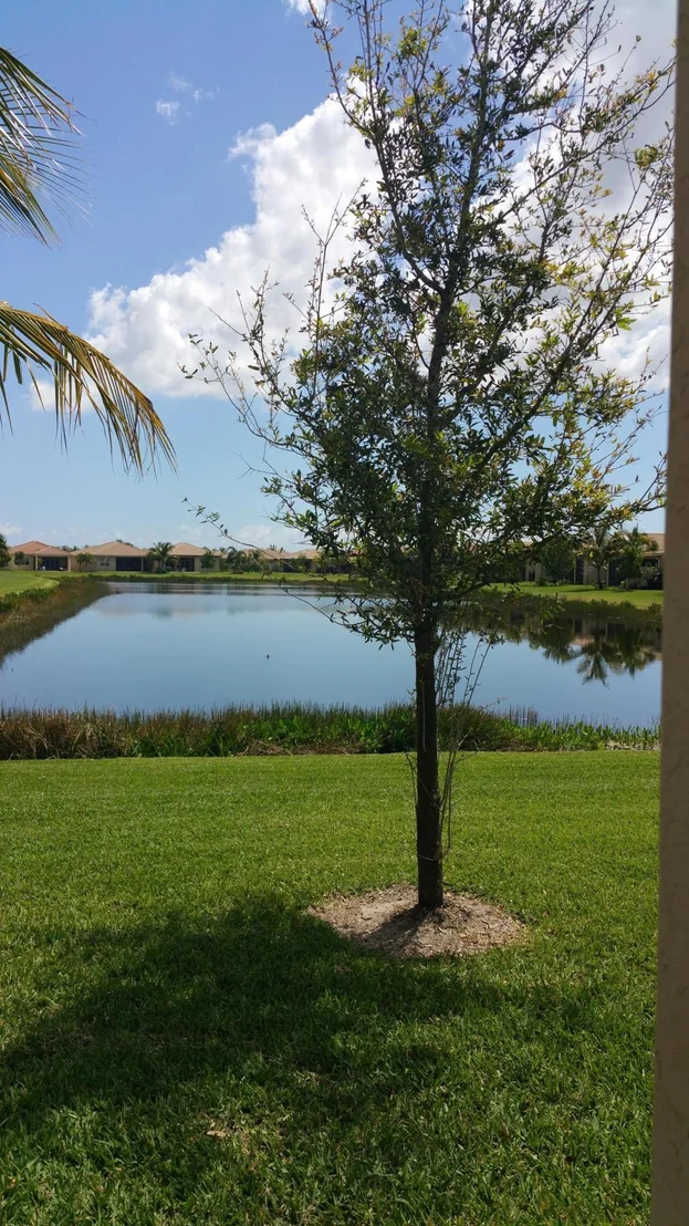 Photo of 12392 Mount Bora Drive