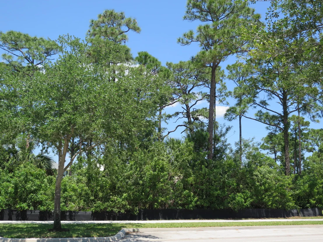 Photo of 2616 Greenway Drive