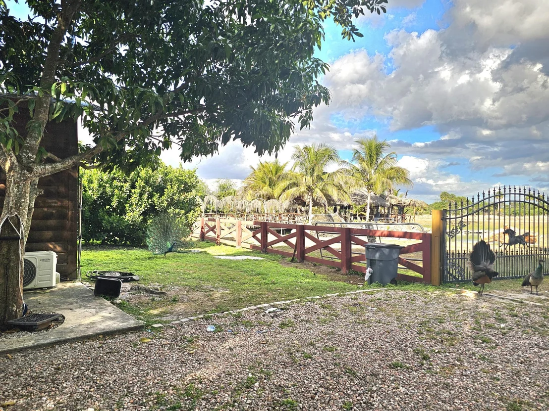 Photo of 12963 Us Hwy 441 SE