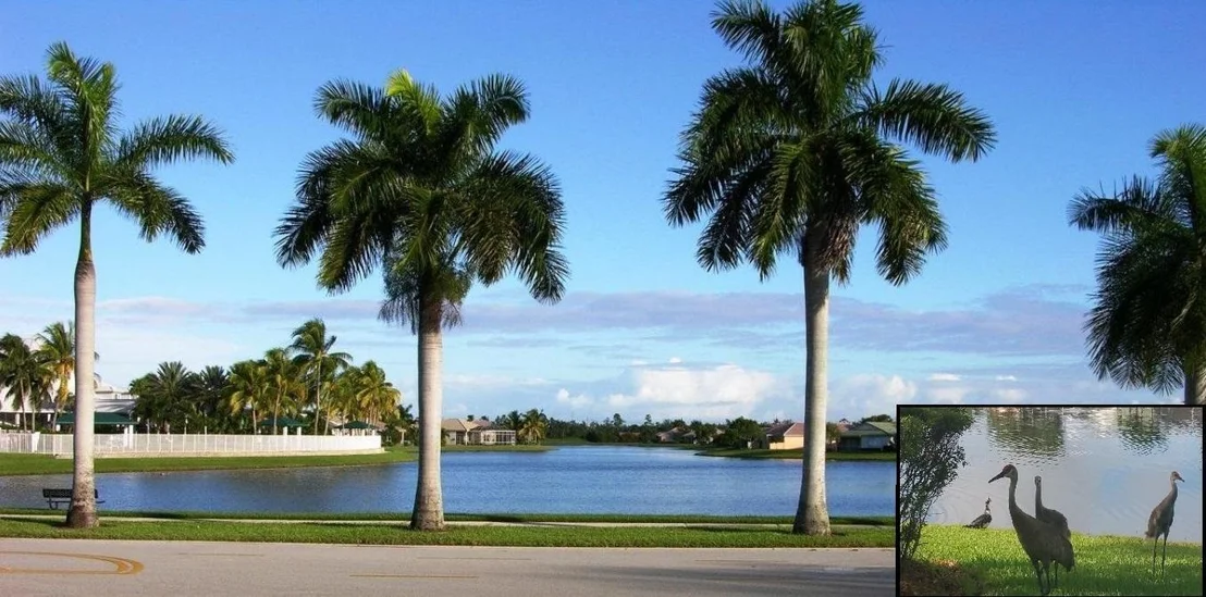 Photo of 9542 Lantern Bay Circle