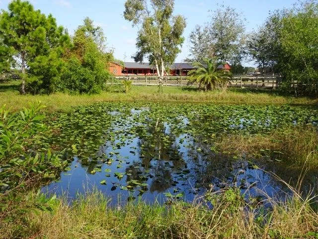 Photo of 16493 Rustic Road