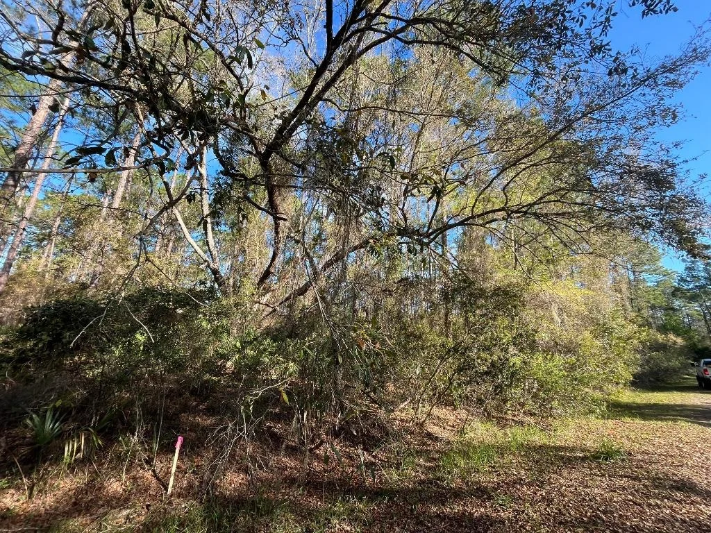 Photo of 104 SE 5th Street