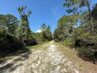 Photo of 337 Palm Way