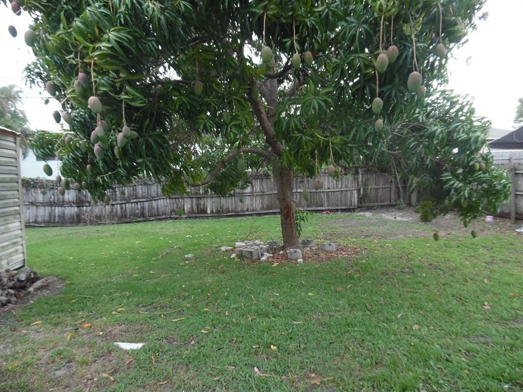 Photo of 3145 Evans Drive