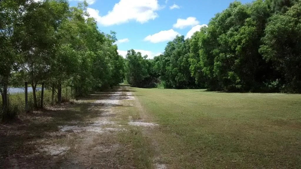 Photo of 18875 131st Trail N