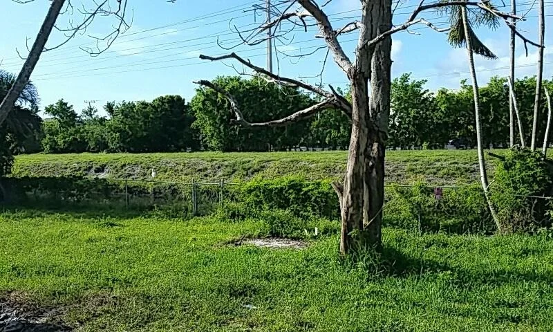 Photo of 2006 Ware Drive