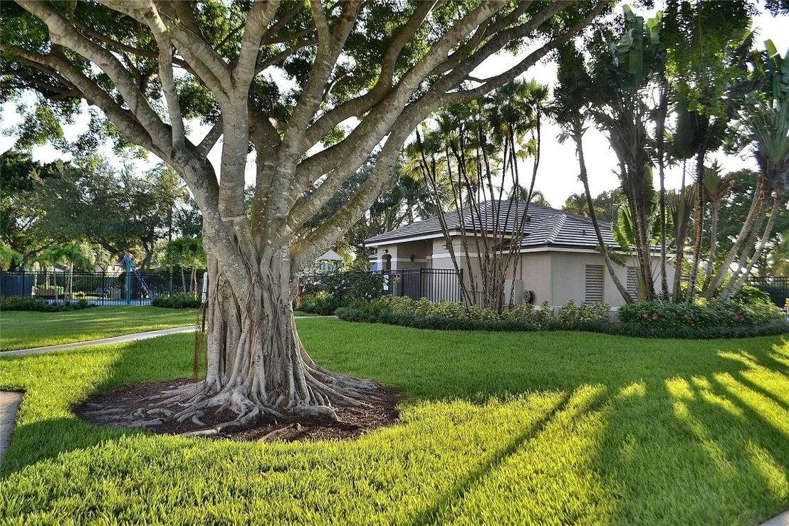 Photo of 872 Tanglewood Creek