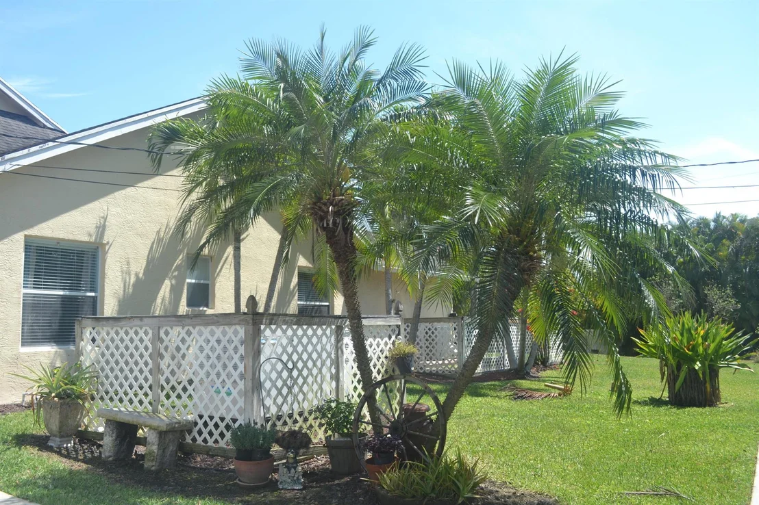 Photo of 17768 Temple Boulevard