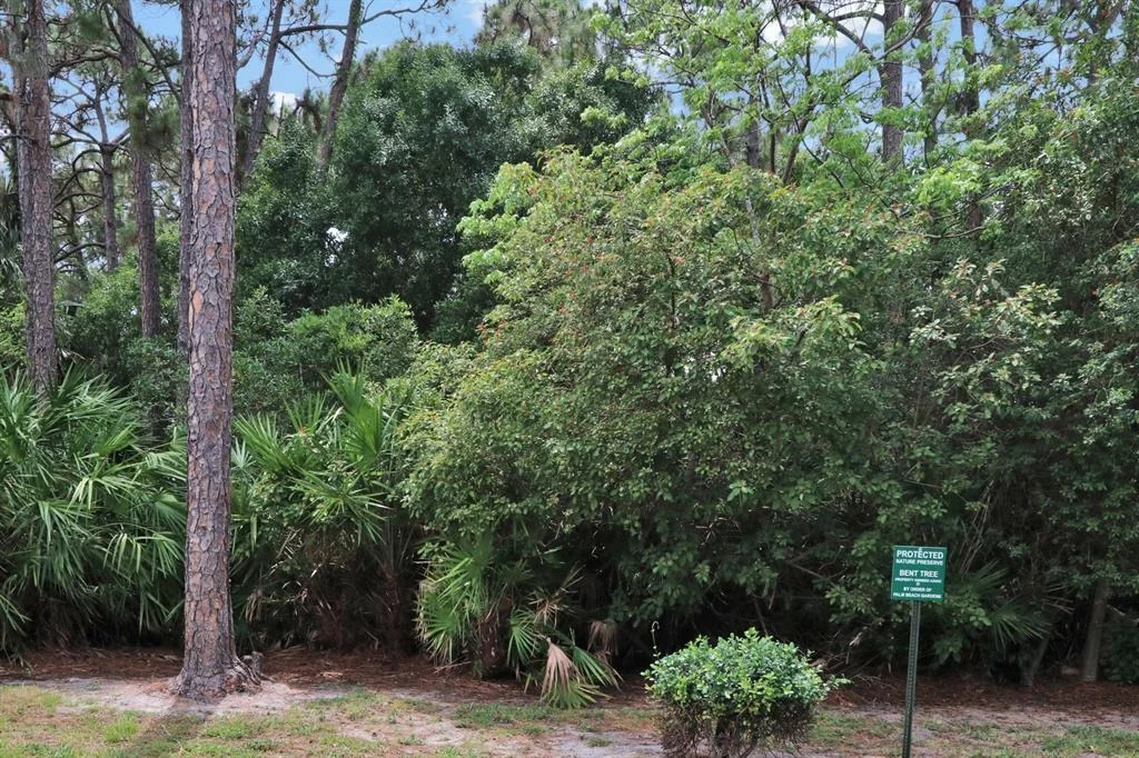 Photo of 170 Bent Tree Drive