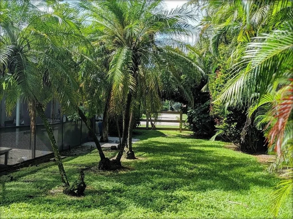 Photo of 12685 Timber Pine Trail