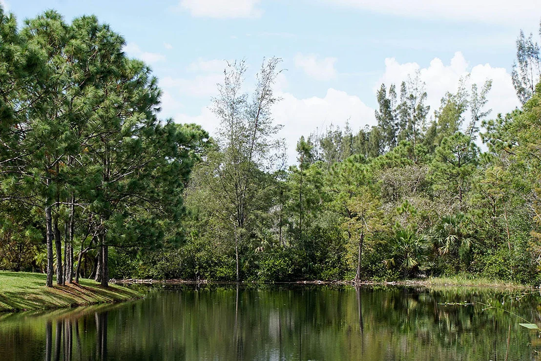 Photo of 312 Hammocks Trail