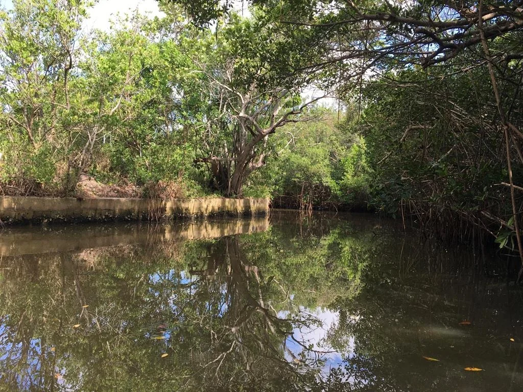 Photo of 250 Rouse Road