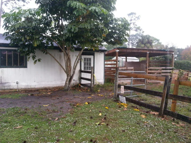 Photo of 8392 Pinto Drive
