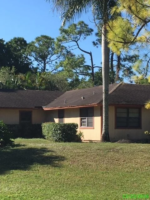 Photo of 4835 Mango