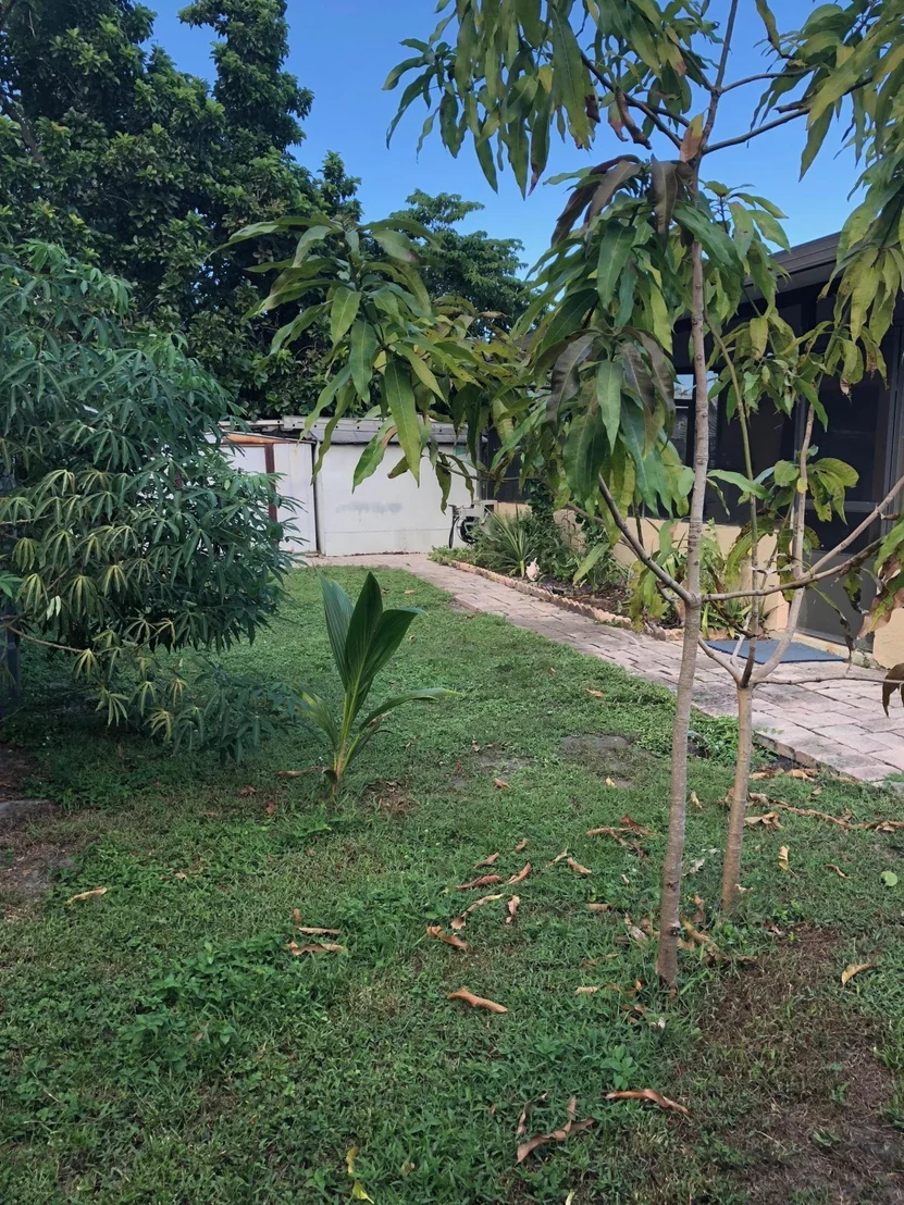 Photo of 39 Davis Road