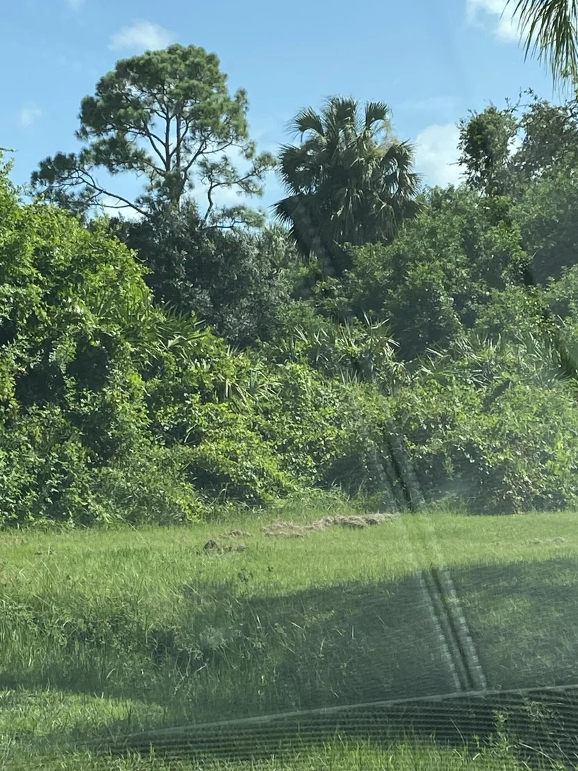 Photo of 3346 NW 25th Avenue