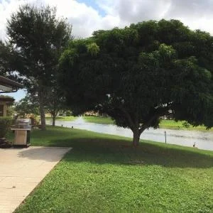 Photo of 6280 Olivewood Circle