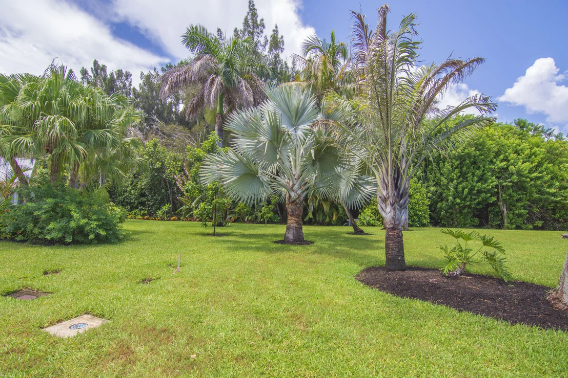 Photo of 320 W FOREST Trail