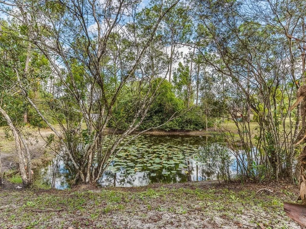 Photo of 4616 Avocado Boulevard