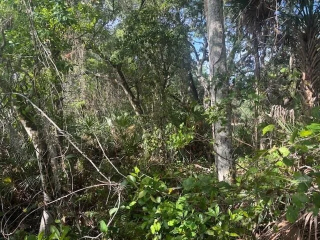 Photo of 15729 NW 294th Street
