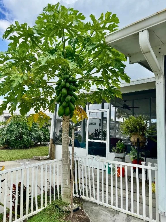 Photo of 1903 SE 30th Street S