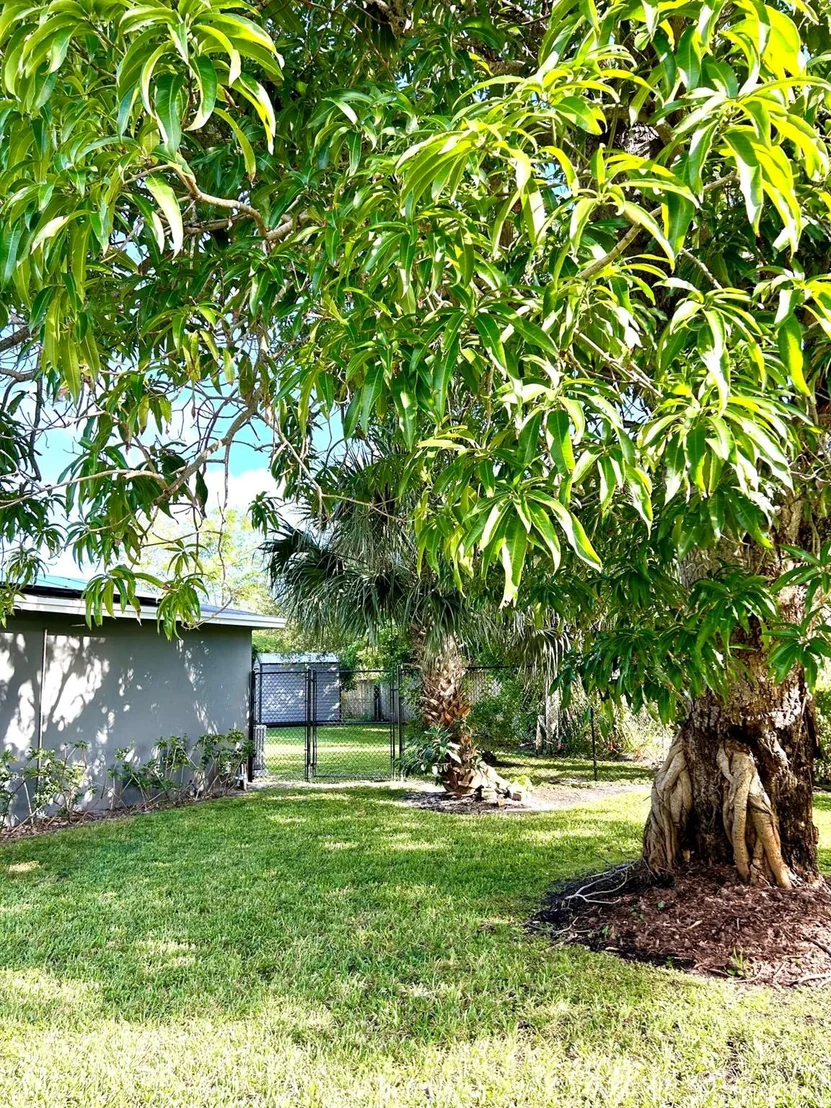 Photo of 454 Flagler Boulevard