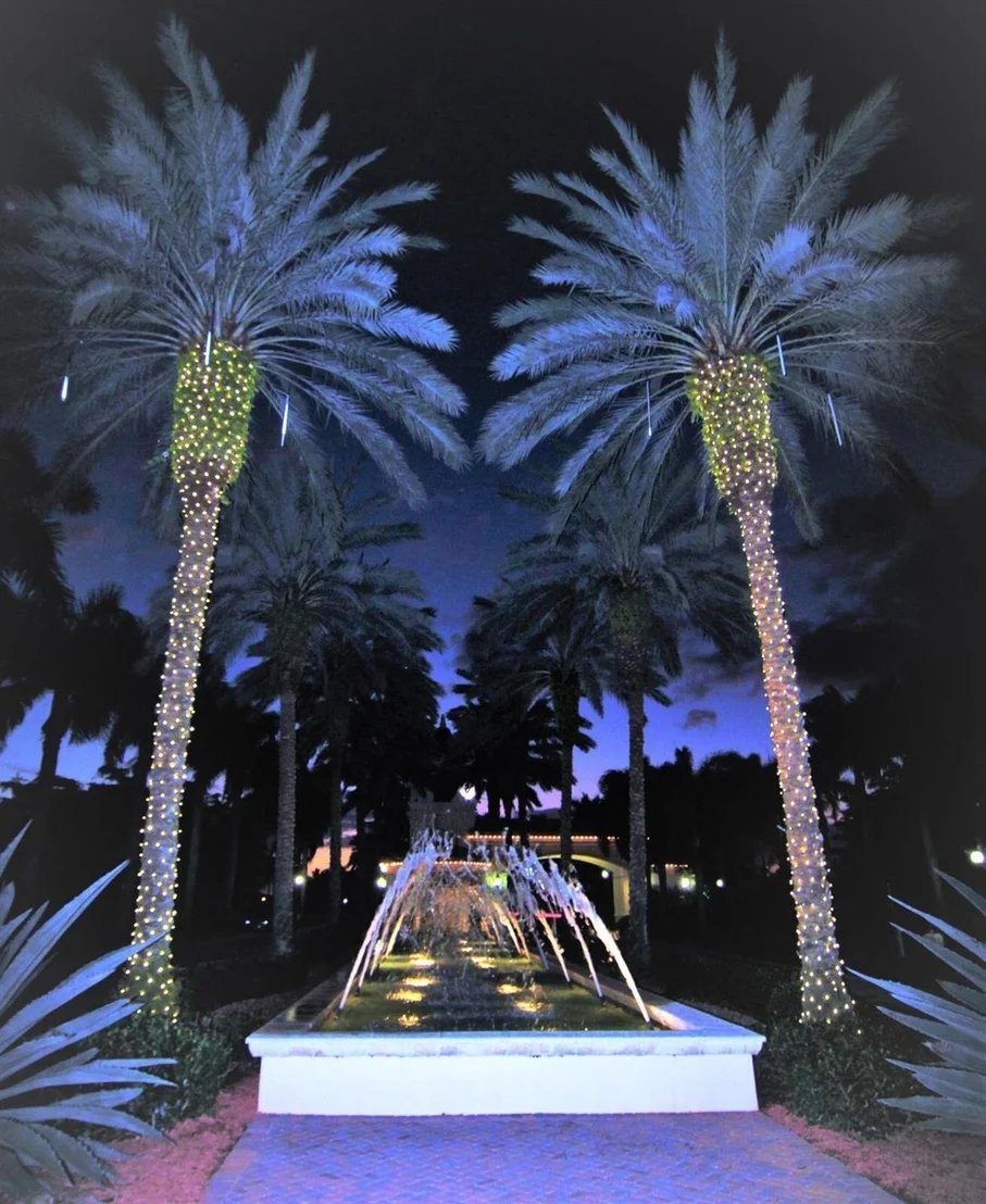 Photo of 6656 Capistrano Beach Trail
