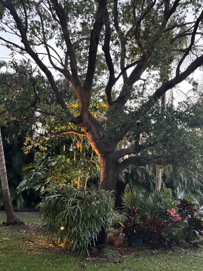Photo of 2412 SE Saint Lucie Boulevard