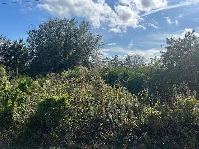 Photo of 14938 NW 254th Street