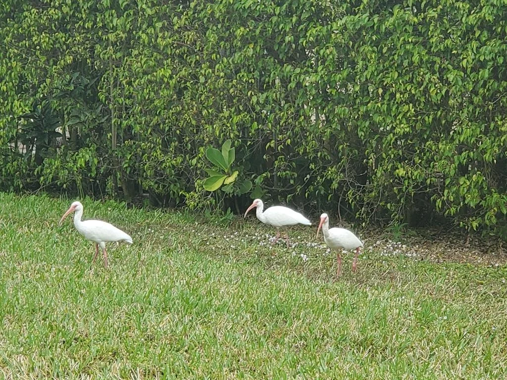 Photo of 2477 Sandy Cay