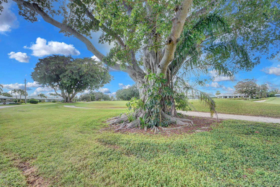 Photo of 224 Orange Tree Drive