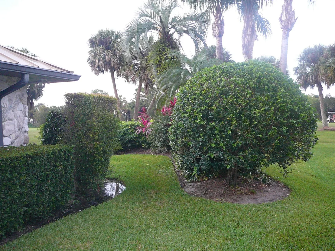 Photo of 4336 Gator Trace Circle