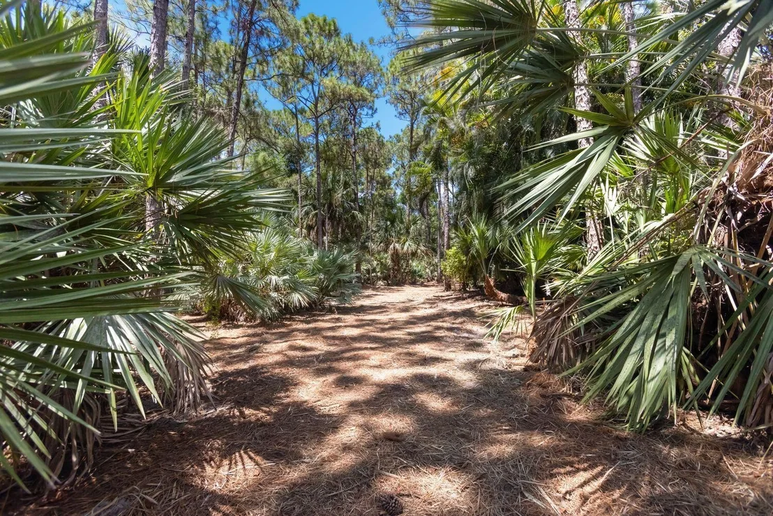 Photo of 15659 113th Trail N