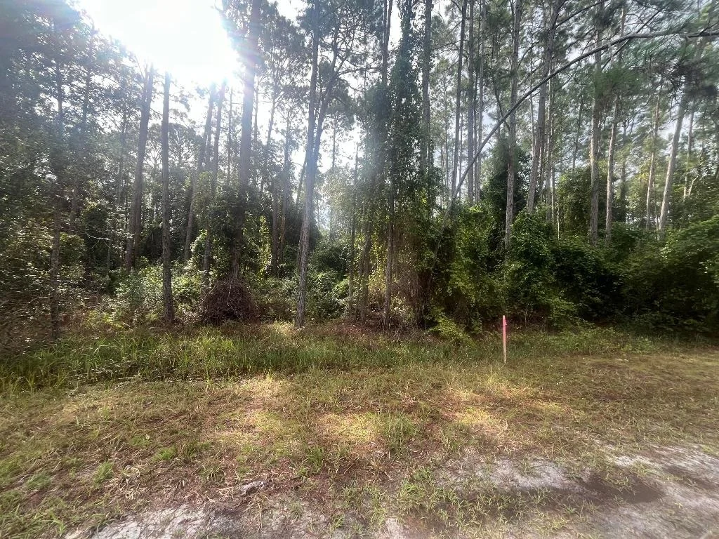 Photo of 223 SE 2nd Street
