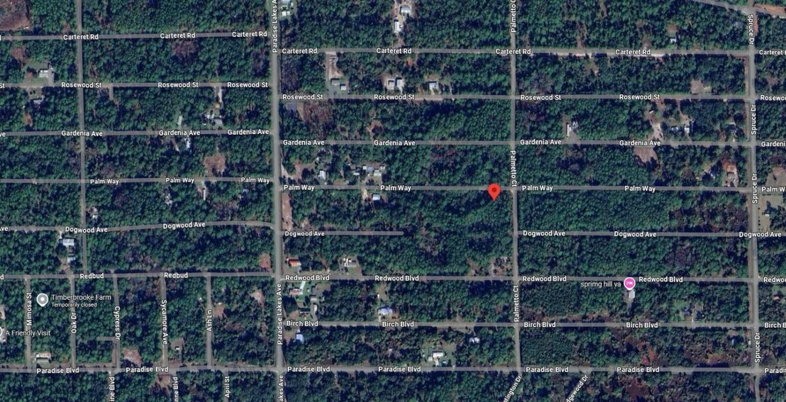 Photo of 337 Palm Way