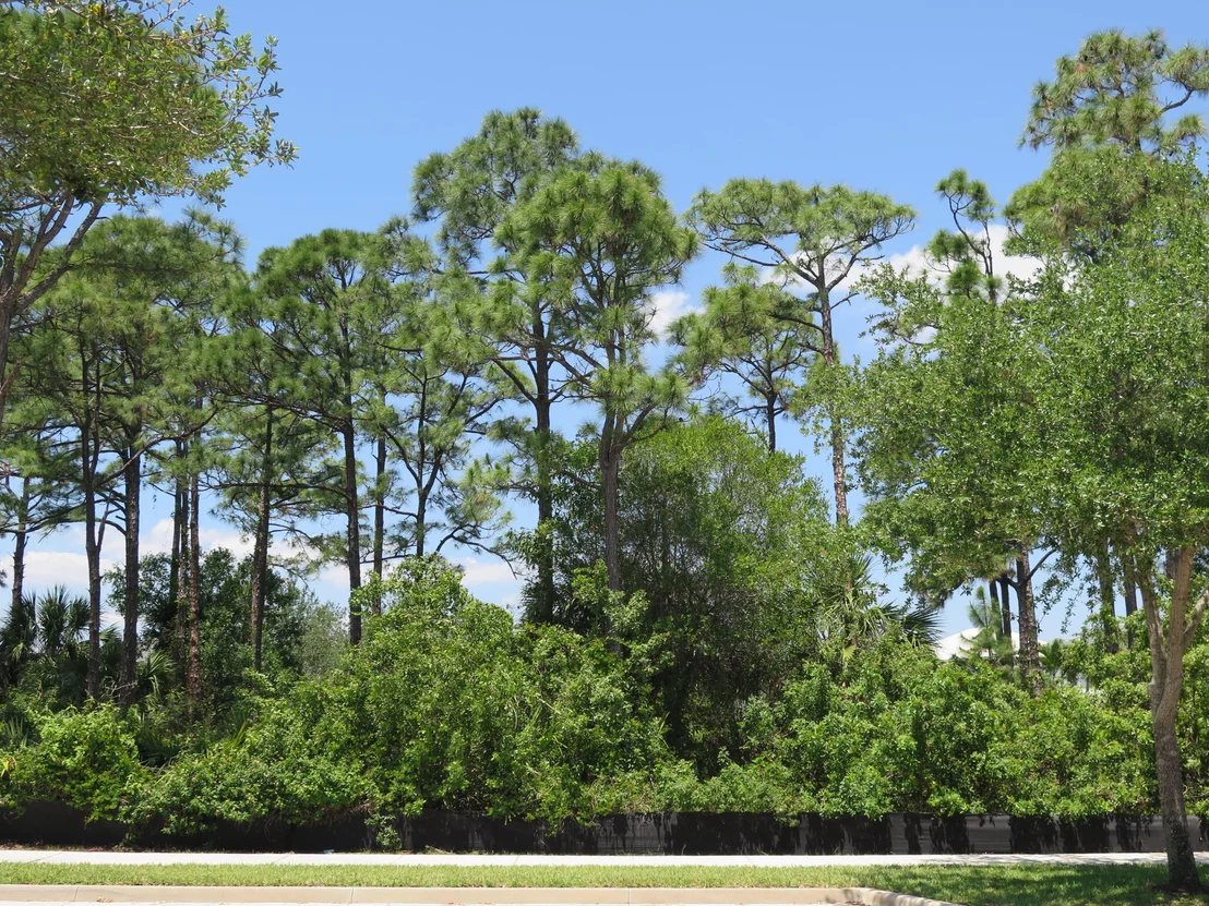 Photo of 2608 Greenway Drive