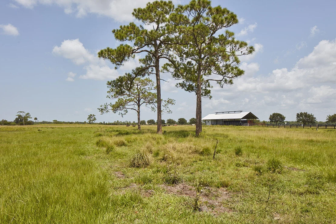 Photo of 25700 SW Brians Trail