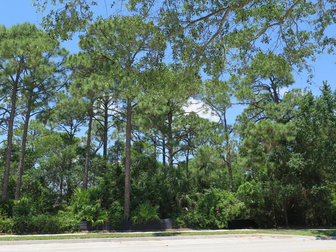 Photo of 2586 Greenway Drive